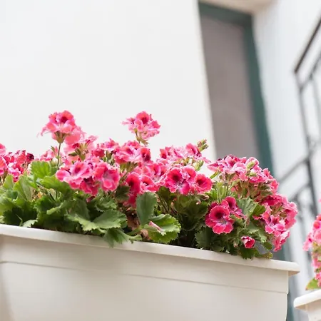 Il Cortiletto 4* 포르토 세자레오